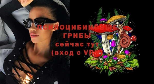 СК Навашино