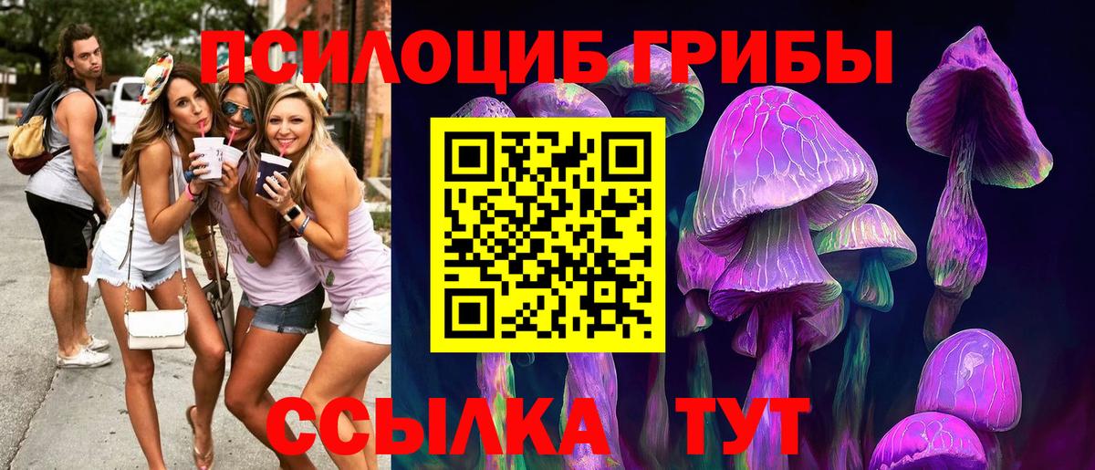 Псилоцибиновые грибы GOLDEN TEACHER  Вход с VPN  магазин продажи наркотиков  Кисловодск 
