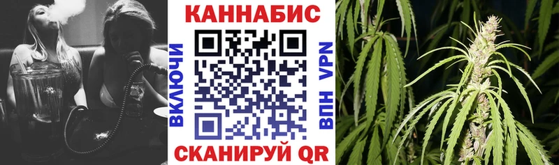 маркетплейс какой сайт  Кисловодск  Канабис Bruce Banner  где купить наркотик 